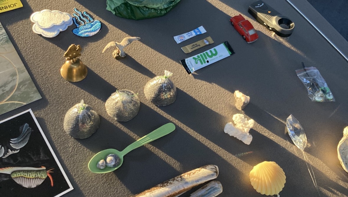 A variety of objects including spoons, shells, gems and tools on a sun-drenched tabletop