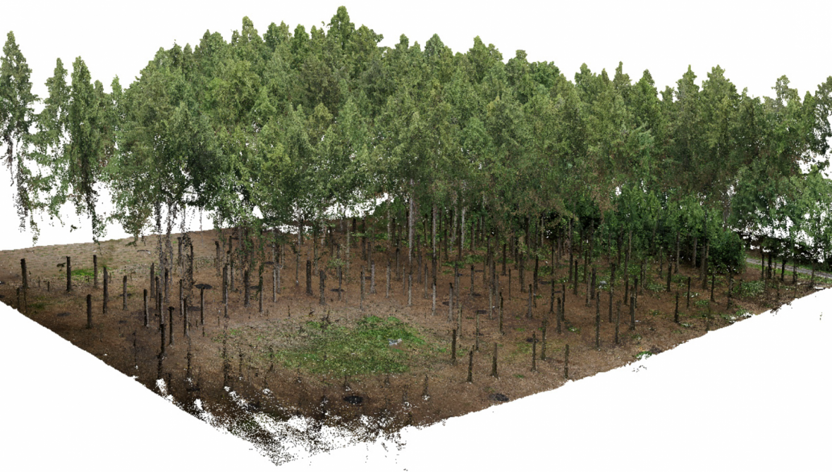 HOLDING IMAGE 3 Mikita et al - 3D view of point clouds from terestrial and aerial photogrammetry - 2016