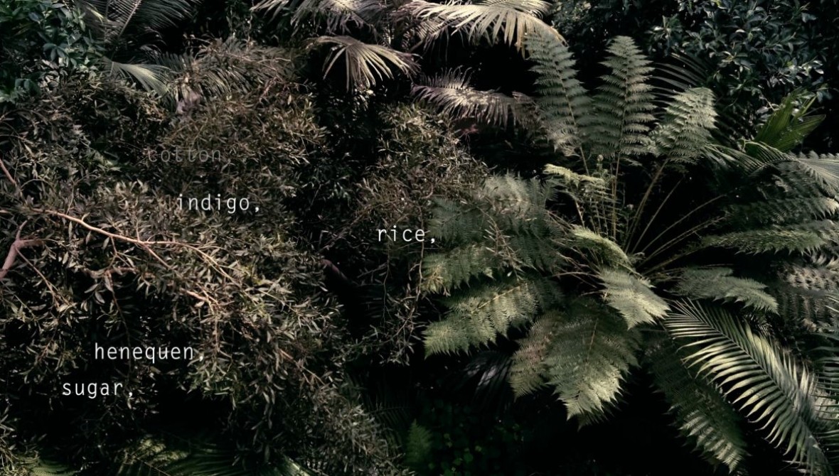 Copy of 03_Taey Iohe_web