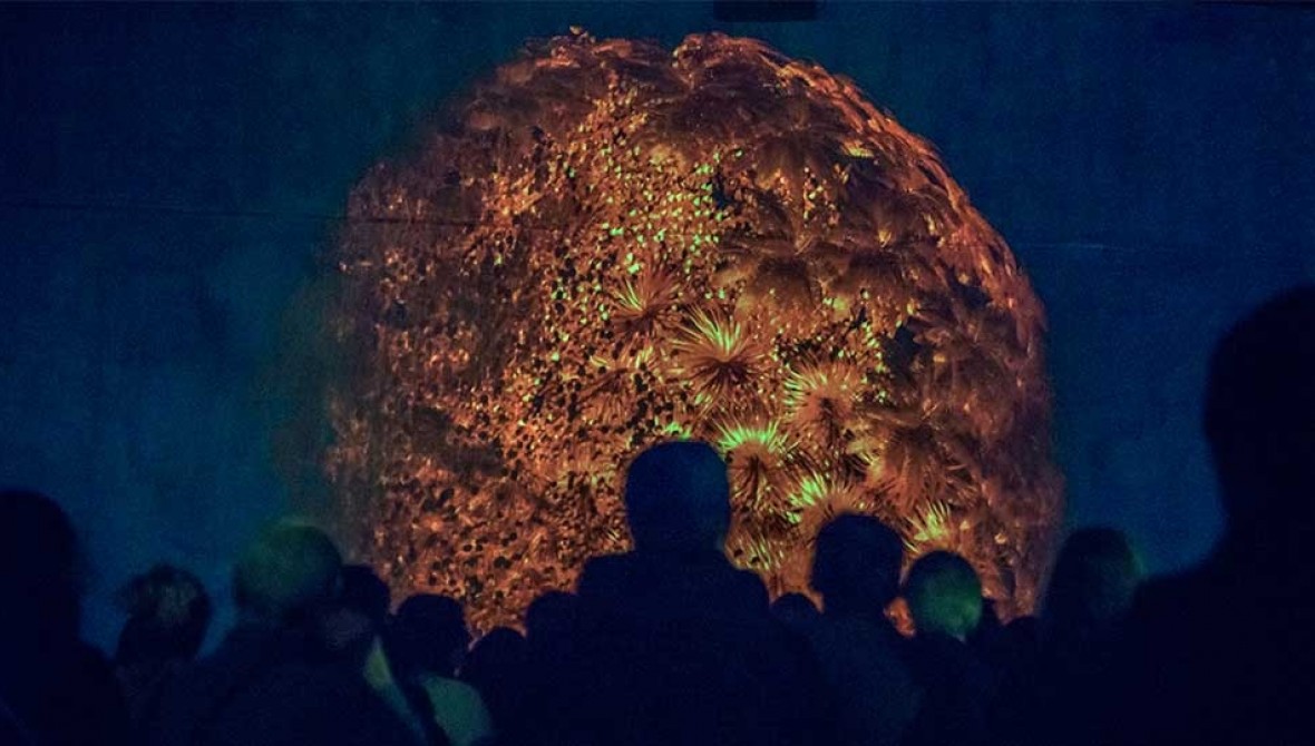 Dorine-van-Meel-Research-Seminar